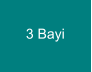 3 Bayi