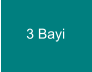 3 Bayi