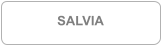 SALVIA